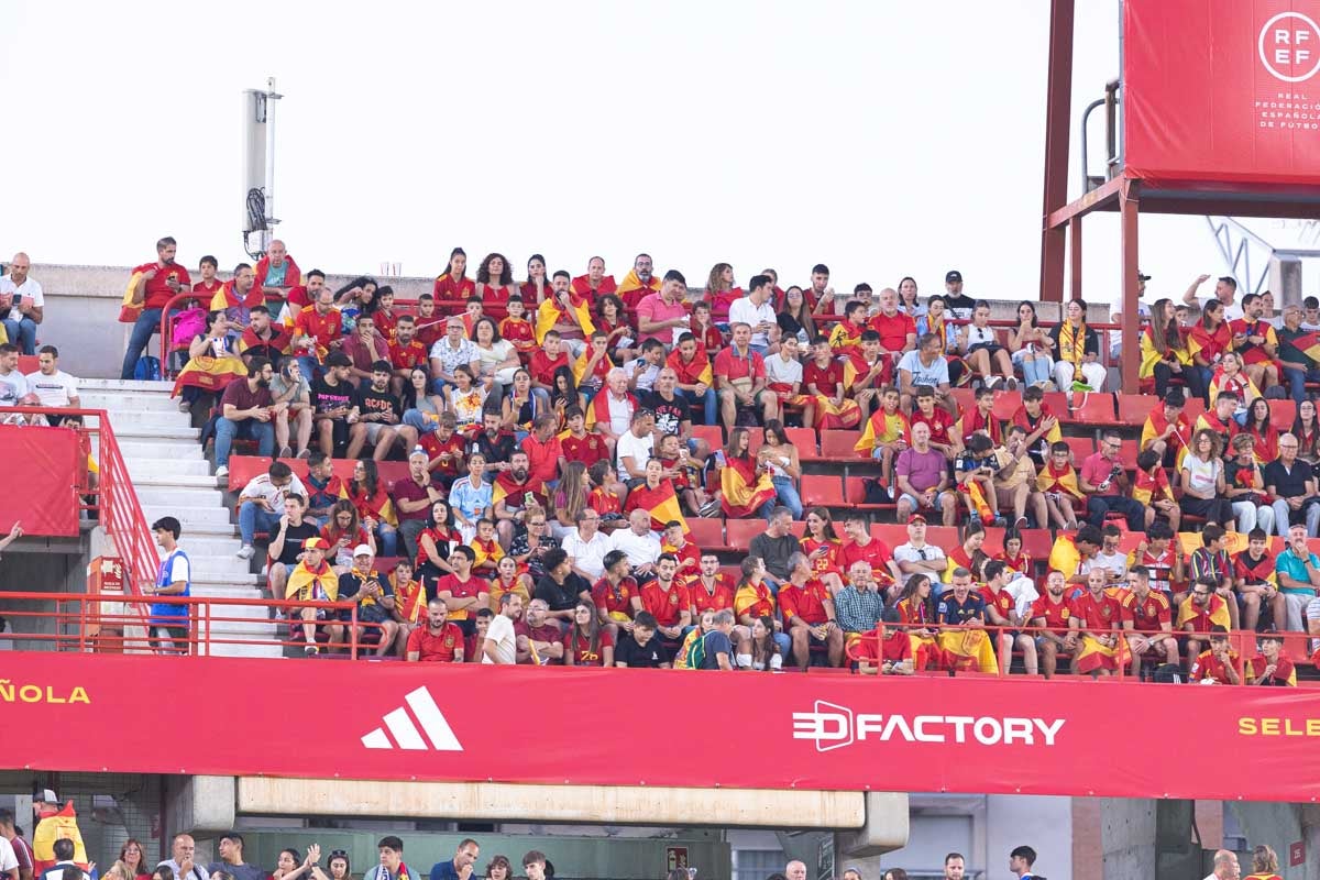 Búscate en la grada de Los Cármenes en el partido de &#039;la Roja&#039;