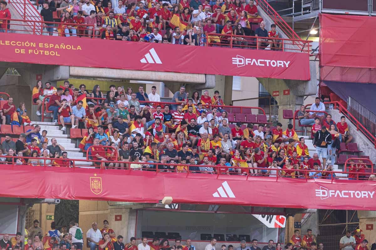 Búscate en la grada de Los Cármenes en el partido de &#039;la Roja&#039;