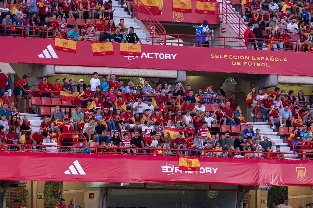 Búscate en la grada de Los Cármenes en el partido de &#039;la Roja&#039;