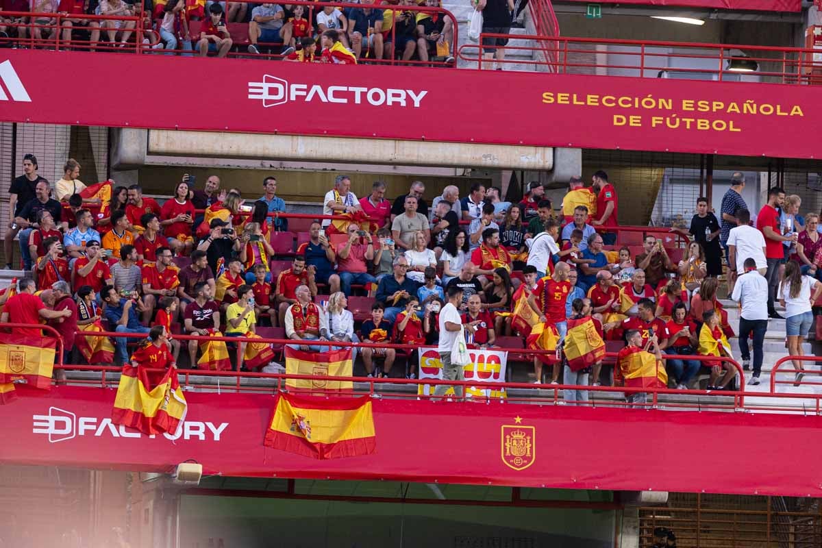 Búscate en la grada de Los Cármenes en el partido de &#039;la Roja&#039;