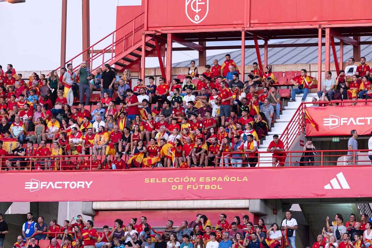 Búscate en la grada de Los Cármenes en el partido de &#039;la Roja&#039;