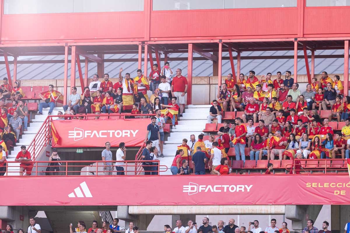 Búscate en la grada de Los Cármenes en el partido de &#039;la Roja&#039;