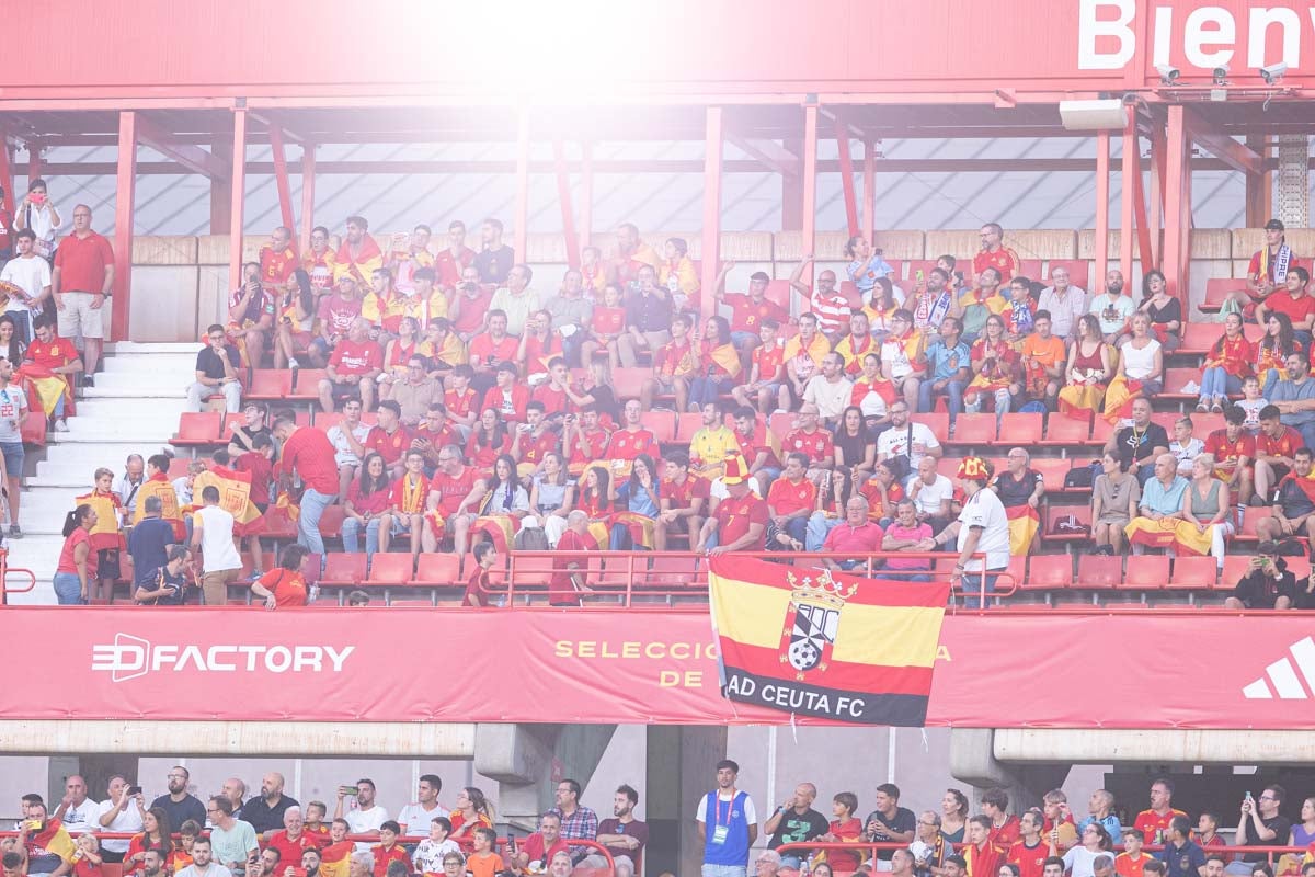 Búscate en la grada de Los Cármenes en el partido de &#039;la Roja&#039;