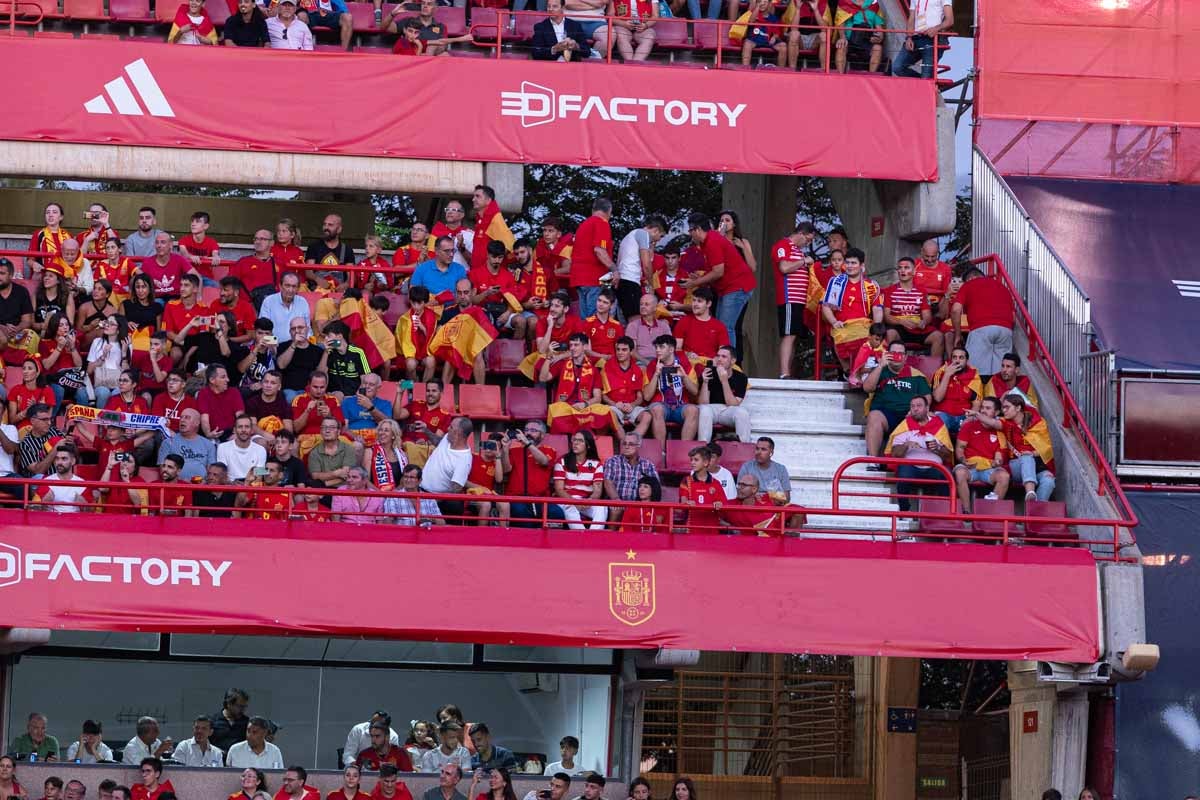 Búscate en la grada de Los Cármenes en el partido de &#039;la Roja&#039;