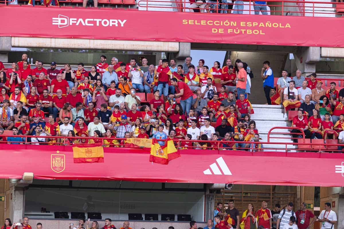 Búscate en la grada de Los Cármenes en el partido de &#039;la Roja&#039;