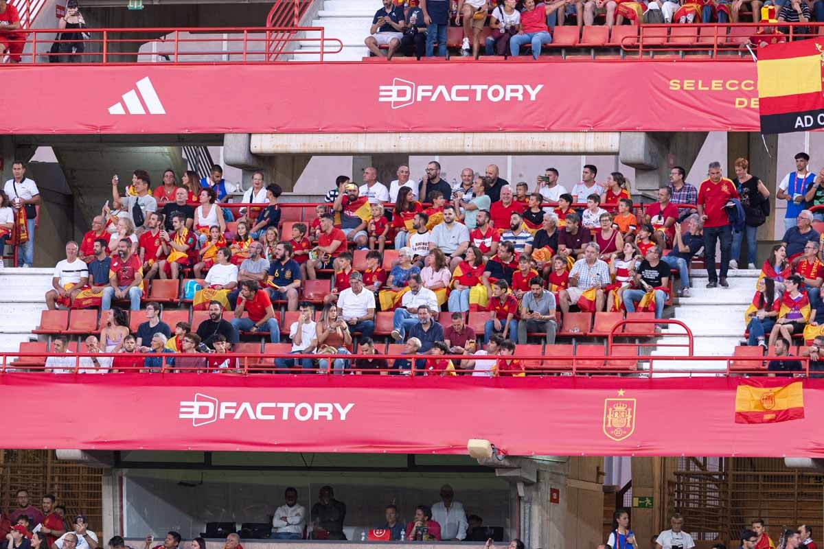 Búscate en la grada de Los Cármenes en el partido de &#039;la Roja&#039;