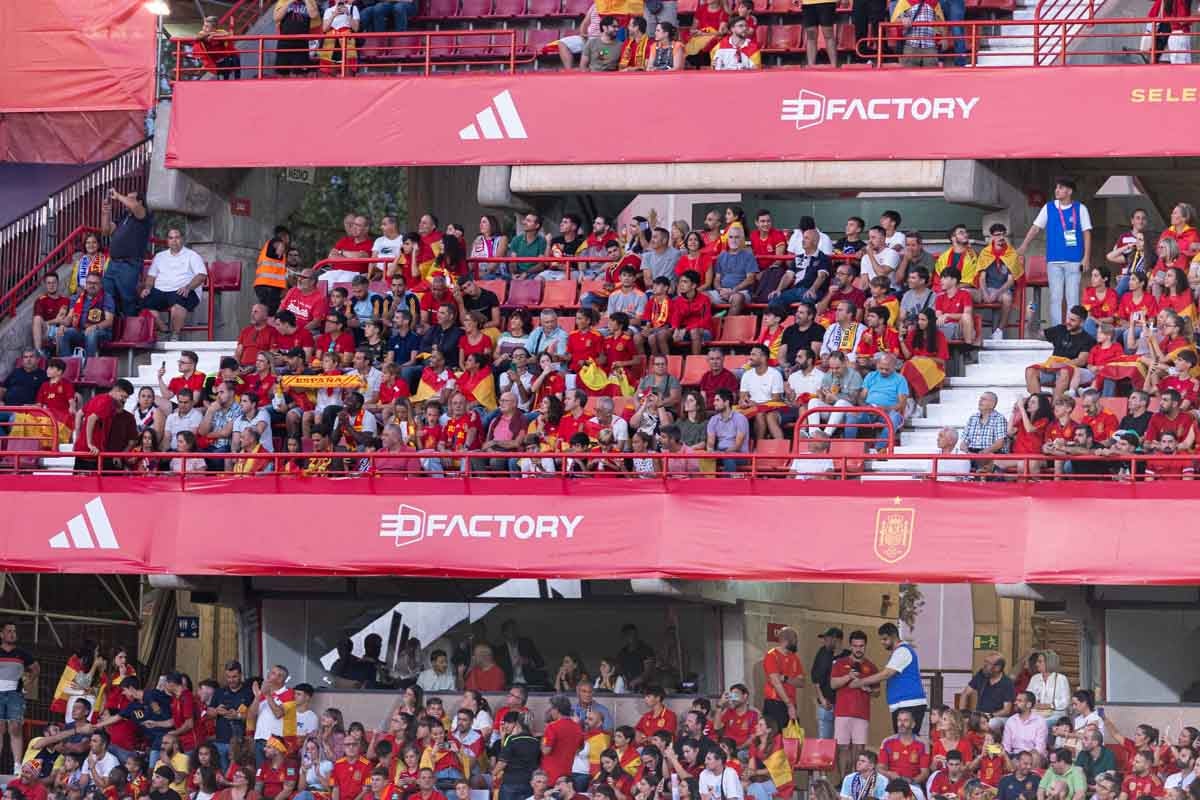 Búscate en la grada de Los Cármenes en el partido de &#039;la Roja&#039;