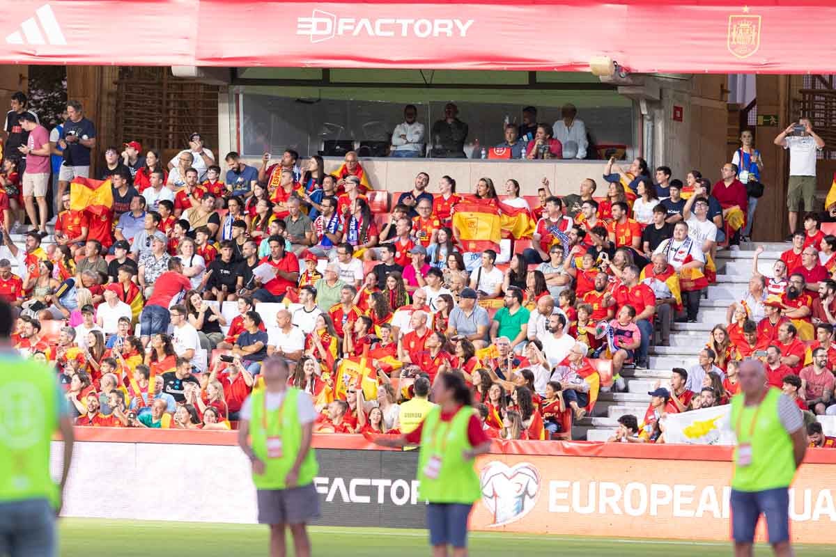 Búscate en la grada de Los Cármenes en el partido de &#039;la Roja&#039;