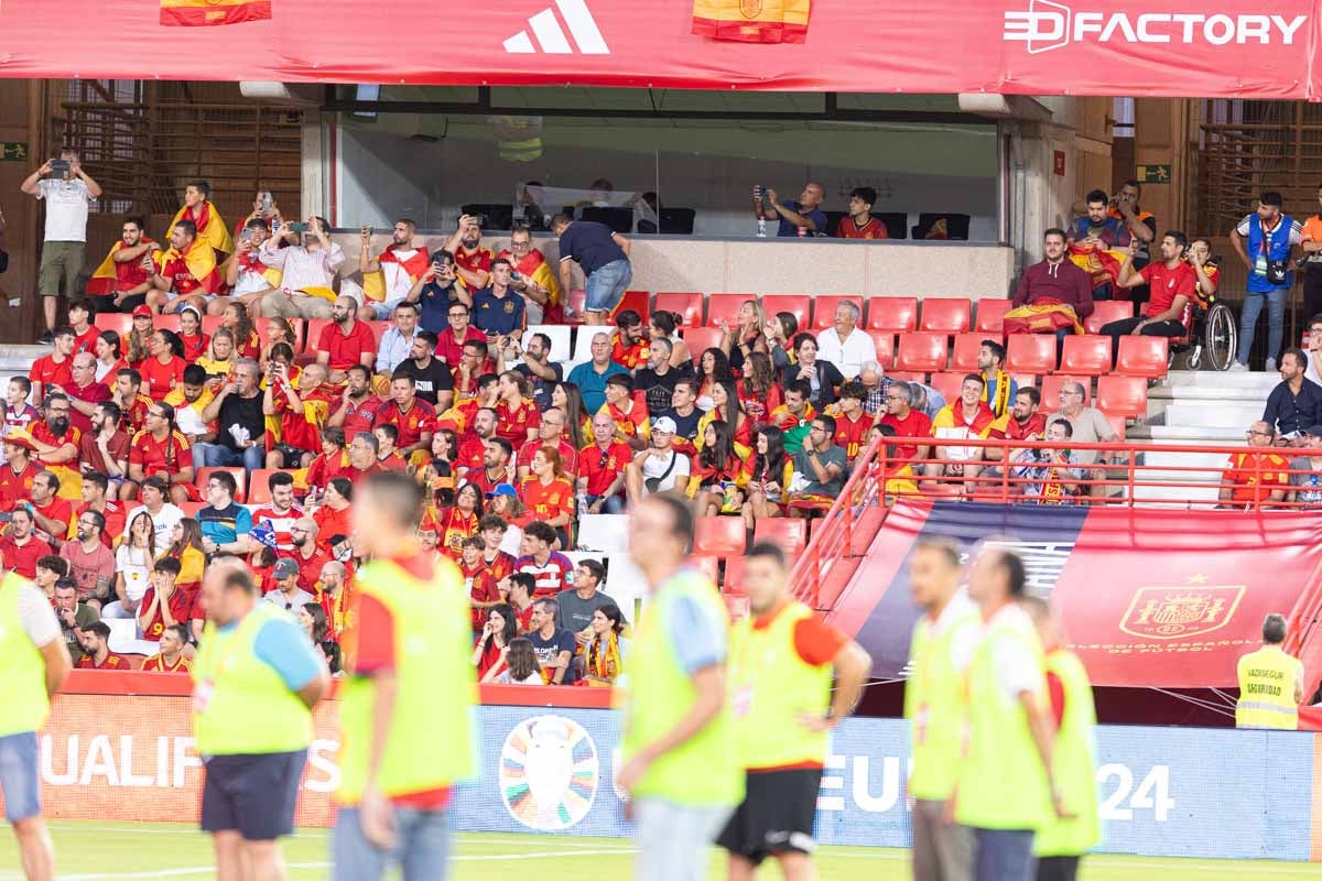 Búscate en la grada de Los Cármenes en el partido de &#039;la Roja&#039;