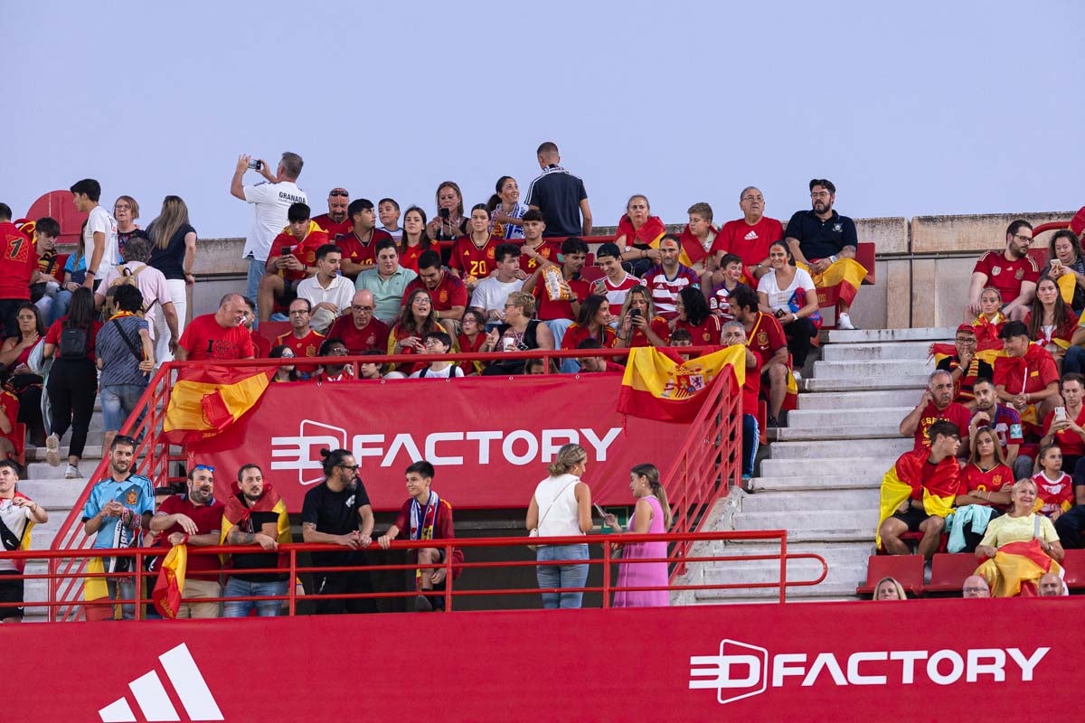 Búscate en la grada de Los Cármenes en el partido de &#039;la Roja&#039;