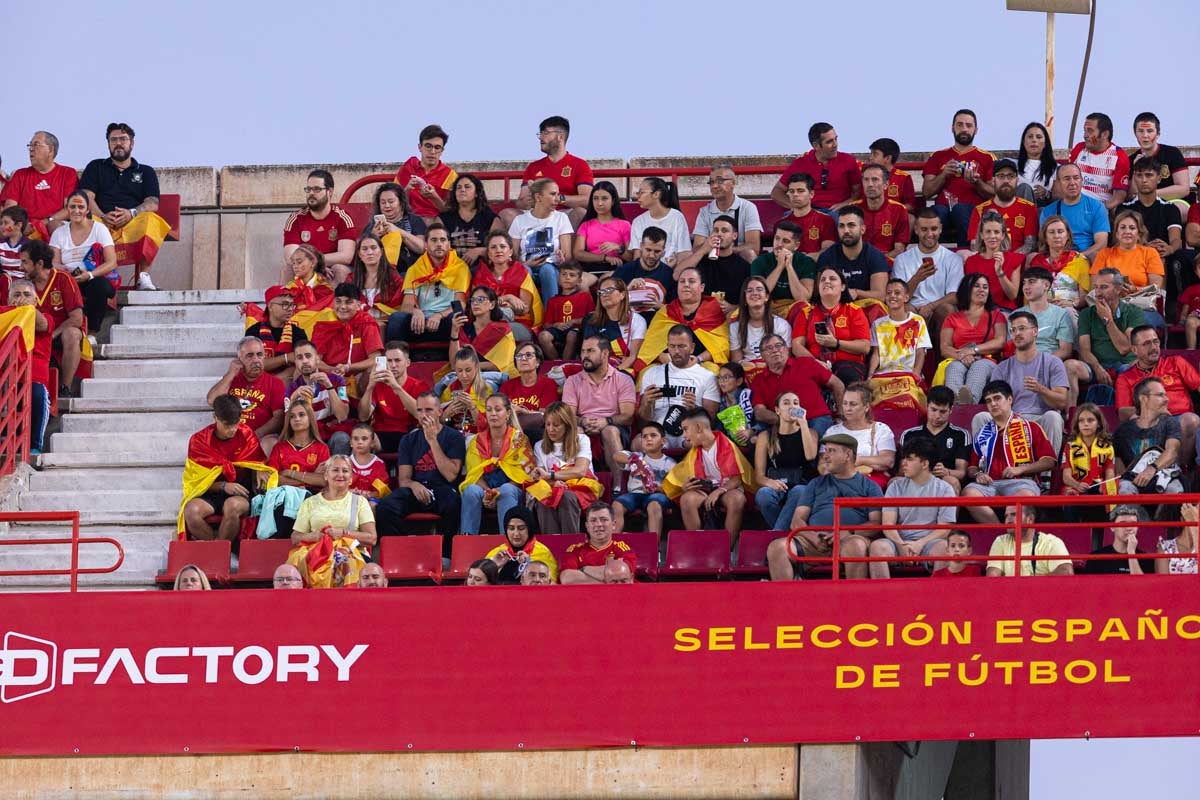 Búscate en la grada de Los Cármenes en el partido de &#039;la Roja&#039;