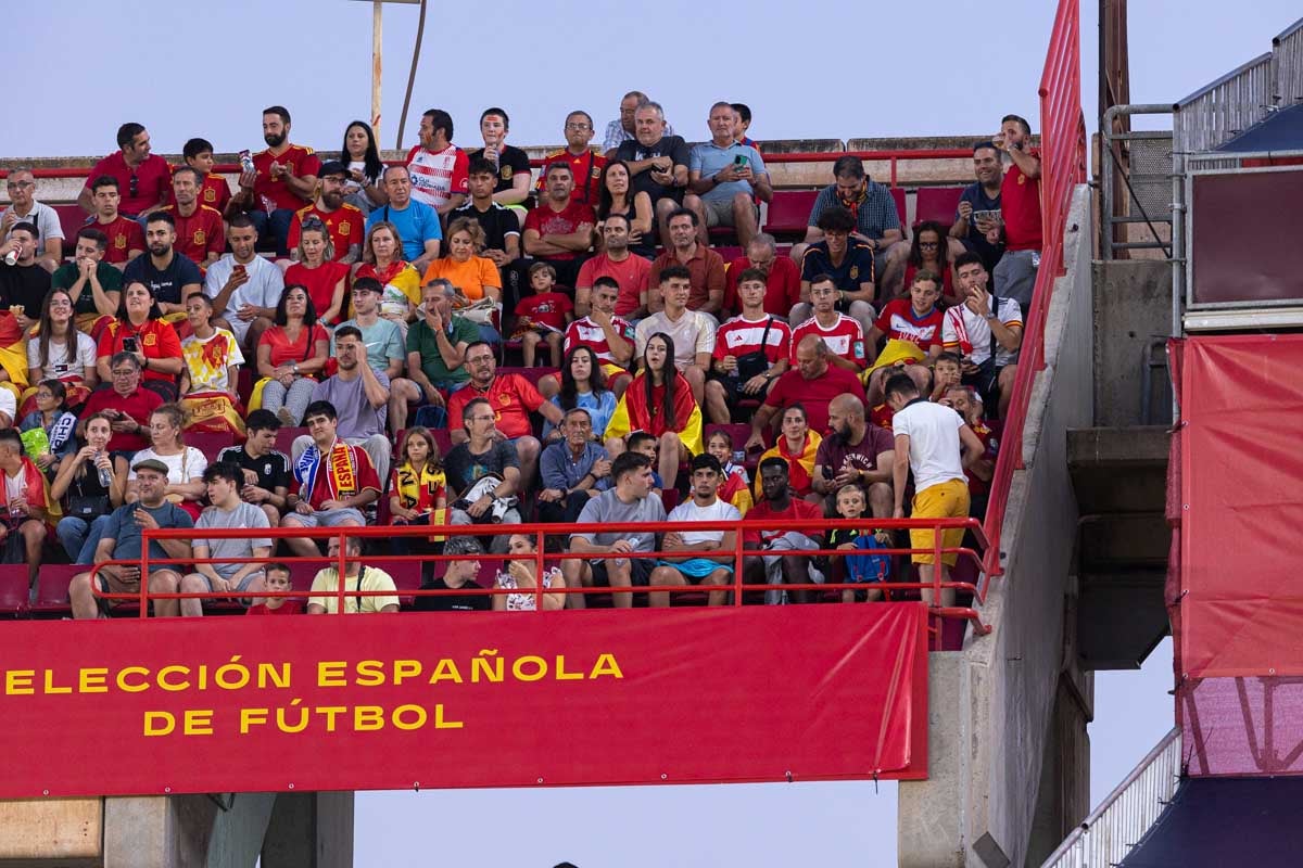 Búscate en la grada de Los Cármenes en el partido de &#039;la Roja&#039;