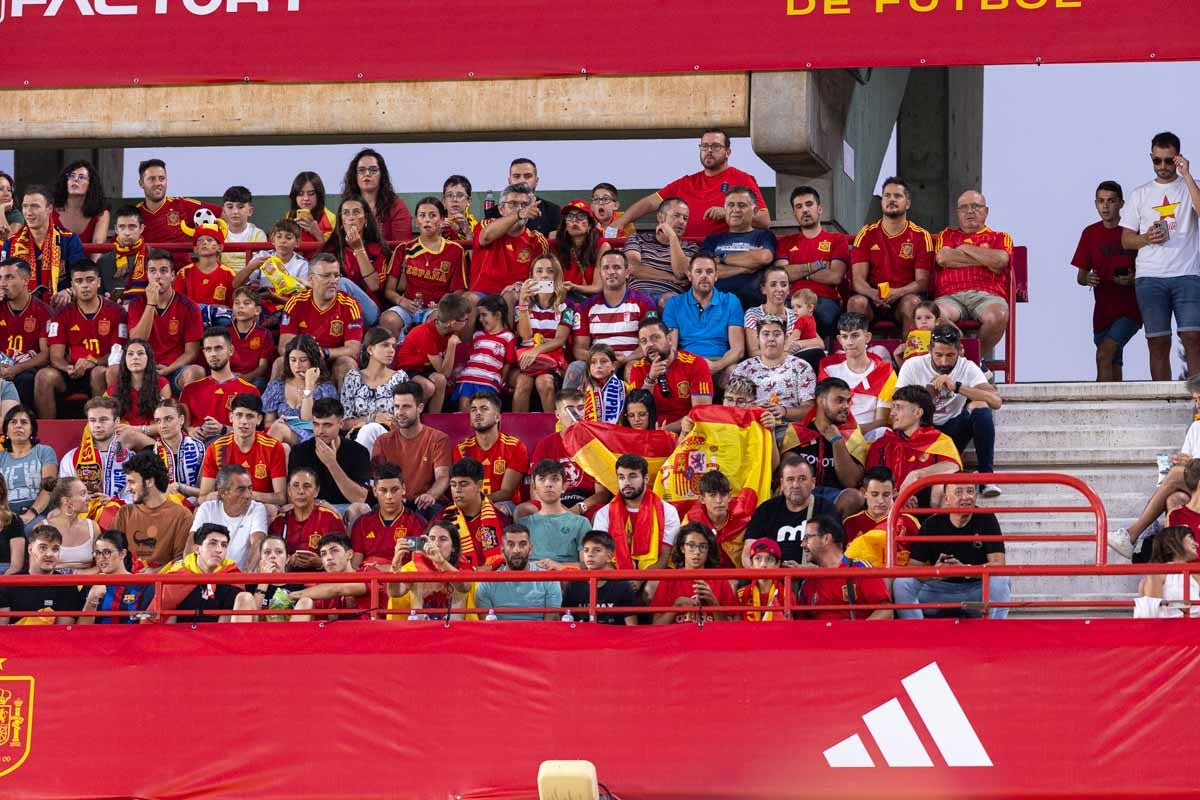 Búscate en la grada de Los Cármenes en el partido de &#039;la Roja&#039;