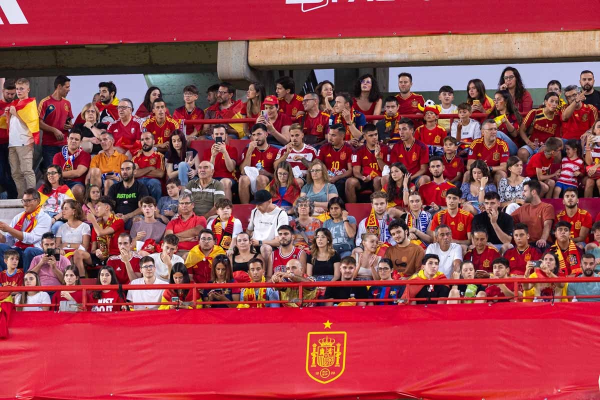 Búscate en la grada de Los Cármenes en el partido de &#039;la Roja&#039;