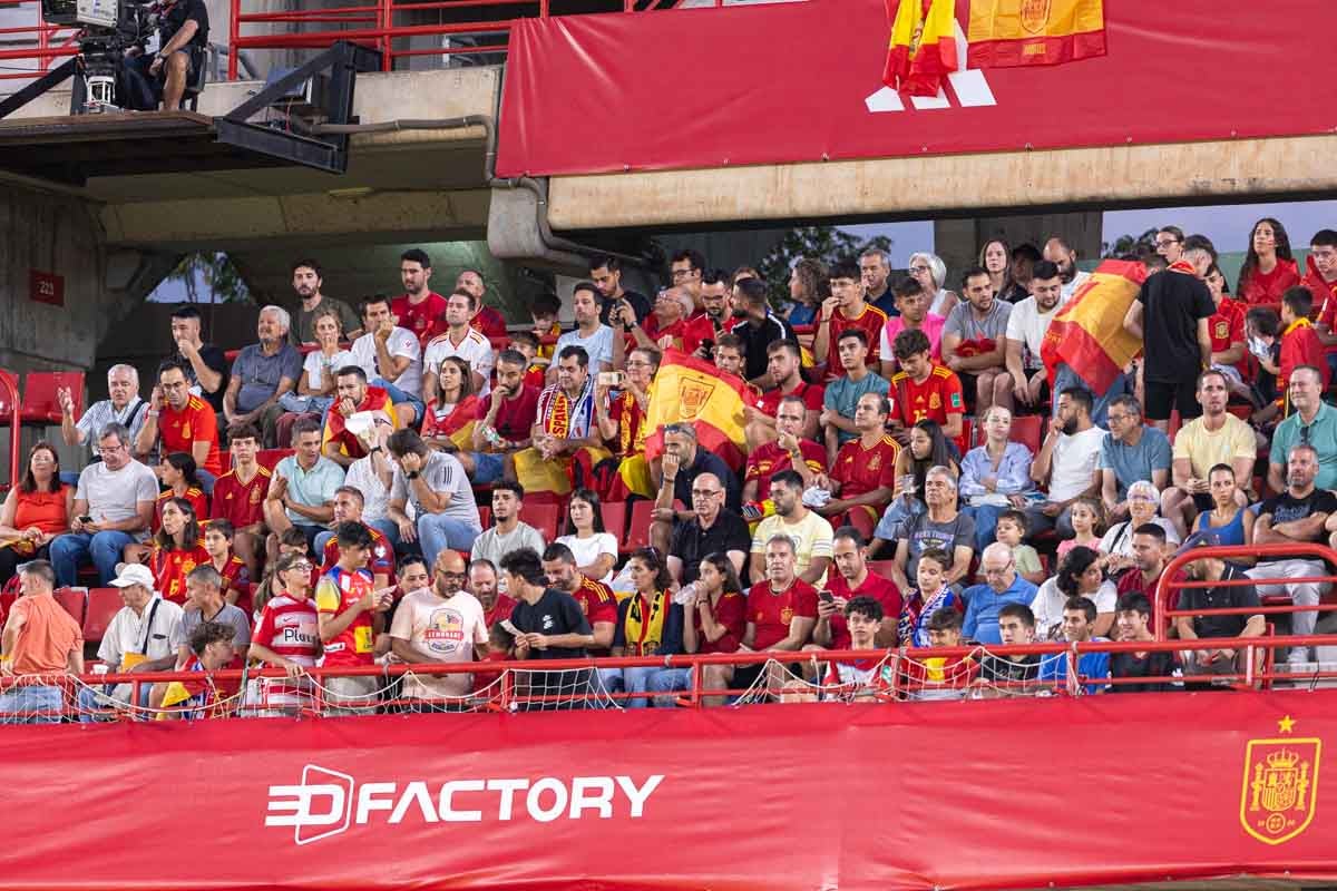 Búscate en la grada de Los Cármenes en el partido de &#039;la Roja&#039;