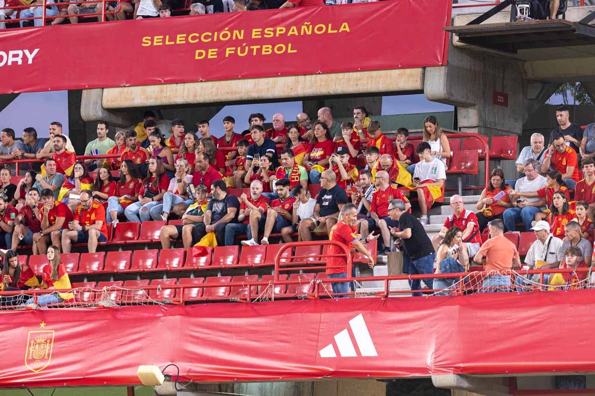 Búscate en la grada de Los Cármenes en el partido de &#039;la Roja&#039;