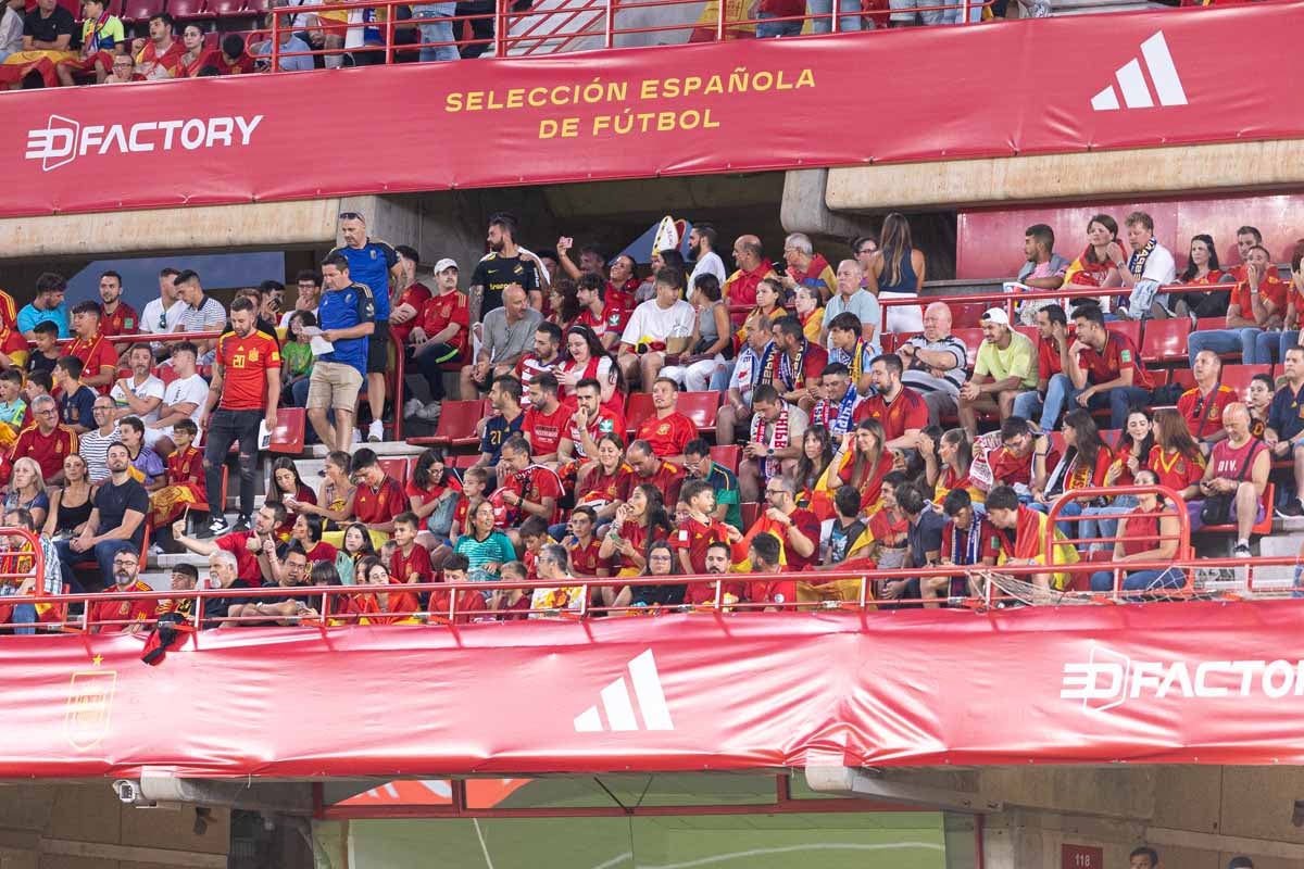 Búscate en la grada de Los Cármenes en el partido de &#039;la Roja&#039;