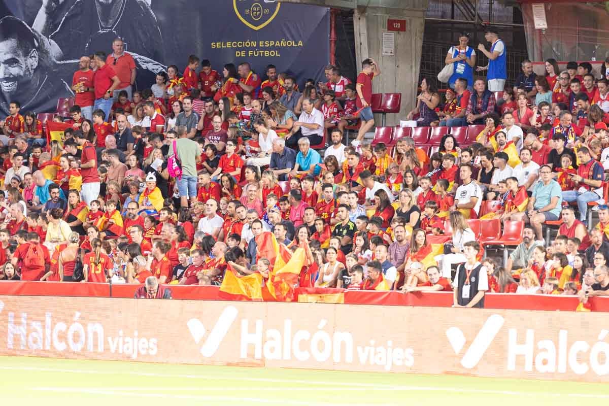 Búscate en la grada de Los Cármenes en el partido de &#039;la Roja&#039;