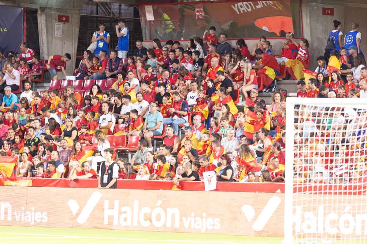 Búscate en la grada de Los Cármenes en el partido de &#039;la Roja&#039;