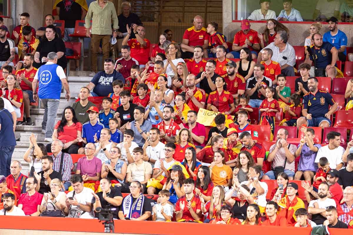 Búscate en la grada de Los Cármenes en el partido de &#039;la Roja&#039;