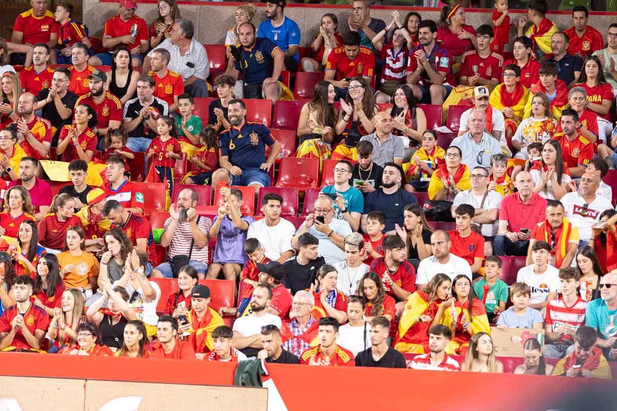 Búscate en la grada de Los Cármenes en el partido de &#039;la Roja&#039;