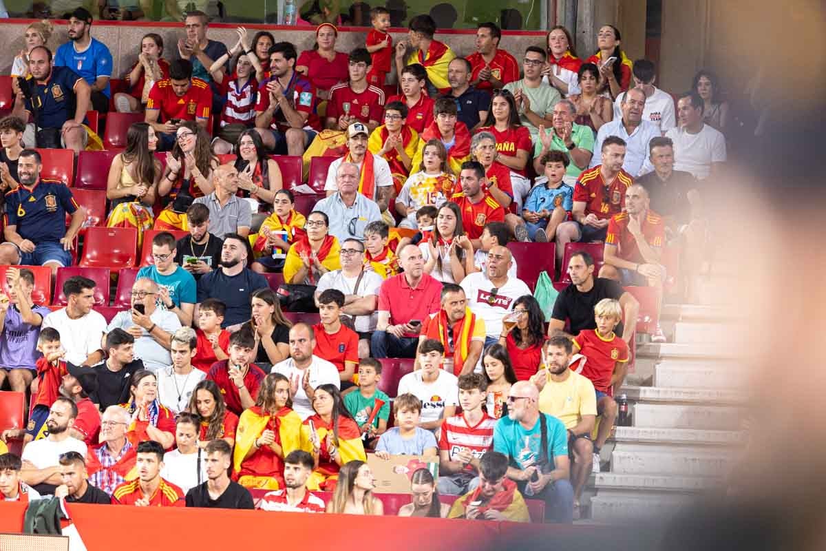 Búscate en la grada de Los Cármenes en el partido de &#039;la Roja&#039;