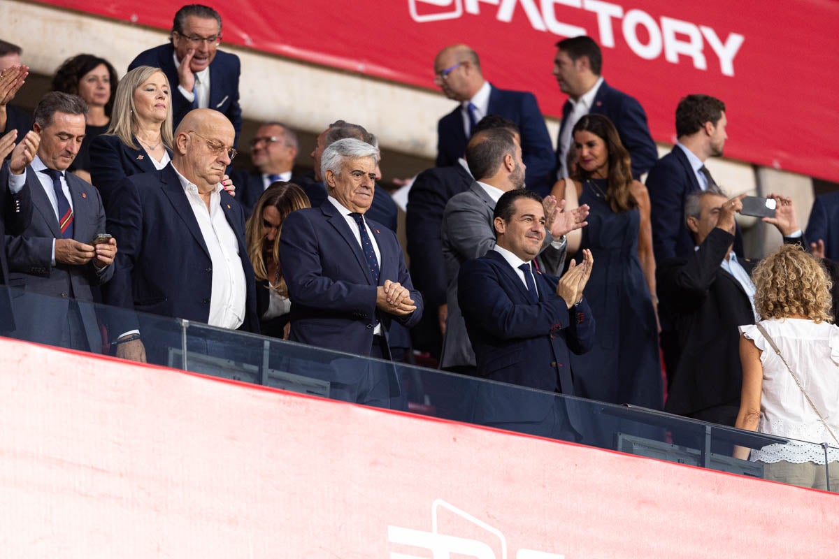 Búscate en la grada de Los Cármenes en el partido de &#039;la Roja&#039;