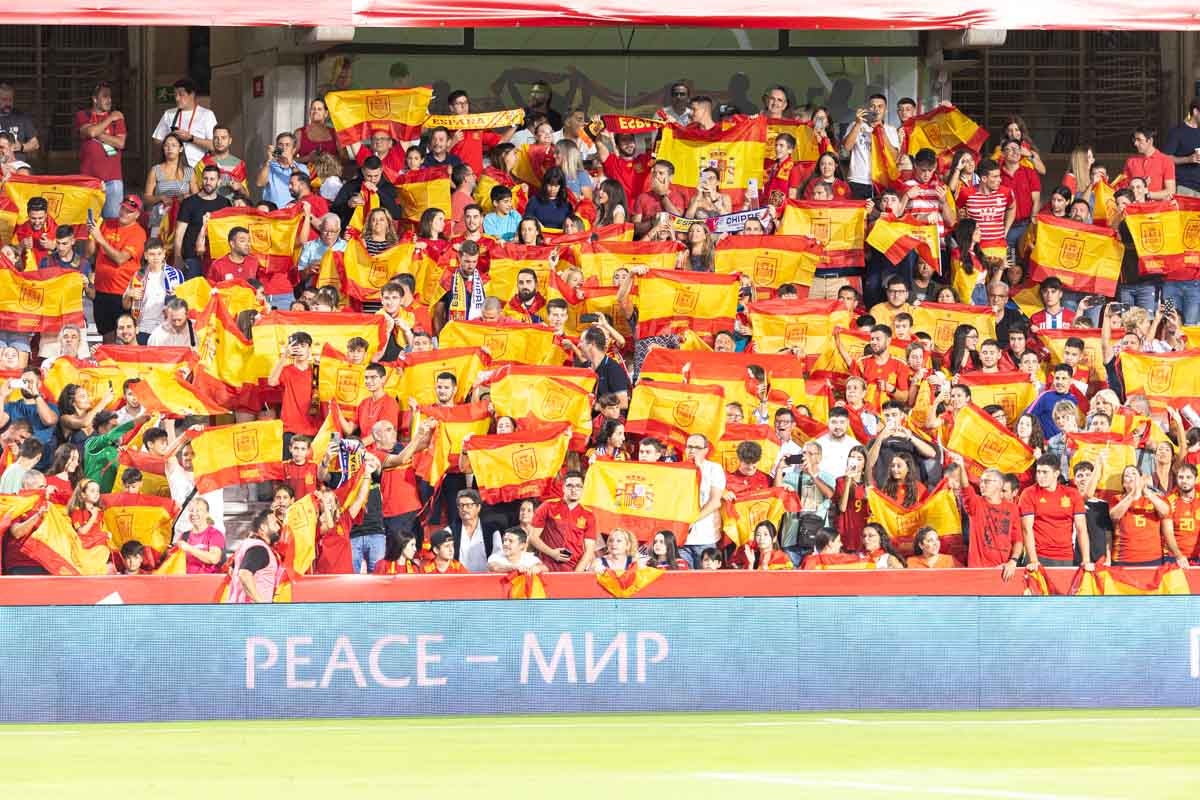 Búscate en la grada de Los Cármenes en el partido de &#039;la Roja&#039;