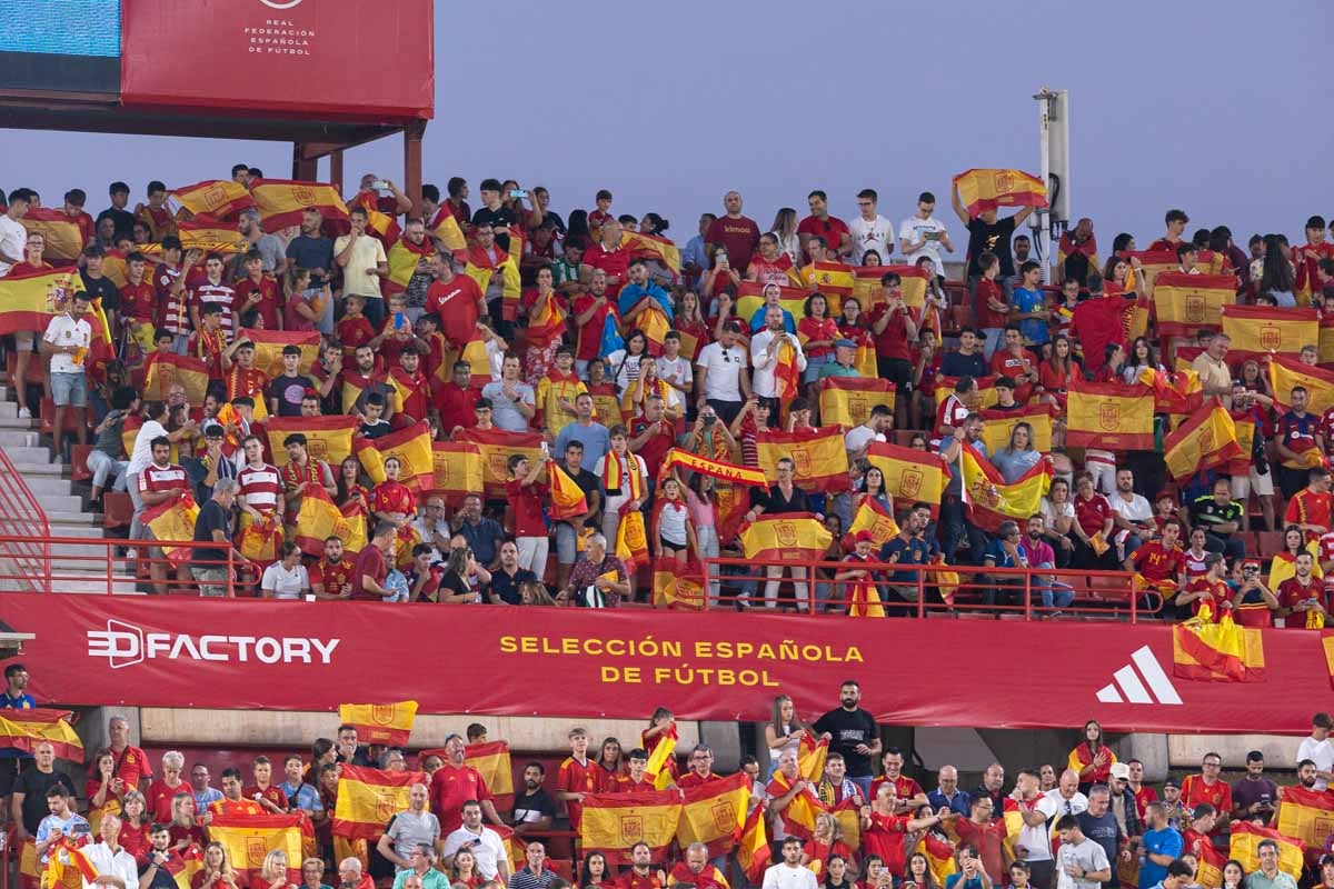 Búscate en la grada de Los Cármenes en el partido de &#039;la Roja&#039;