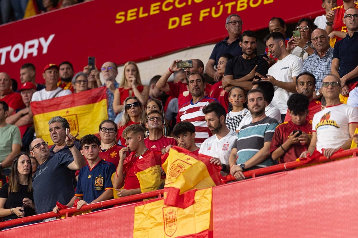 Búscate en la grada de Los Cármenes en el partido de &#039;la Roja&#039;