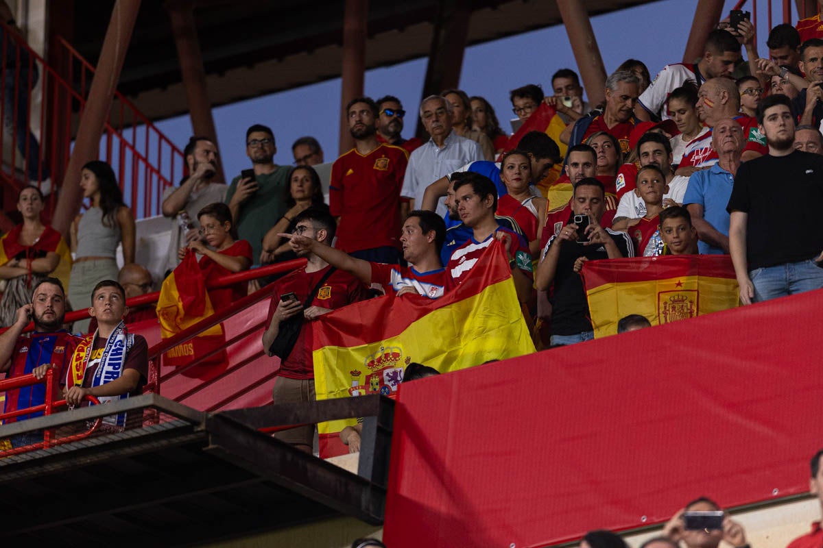 Búscate en la grada de Los Cármenes en el partido de &#039;la Roja&#039;