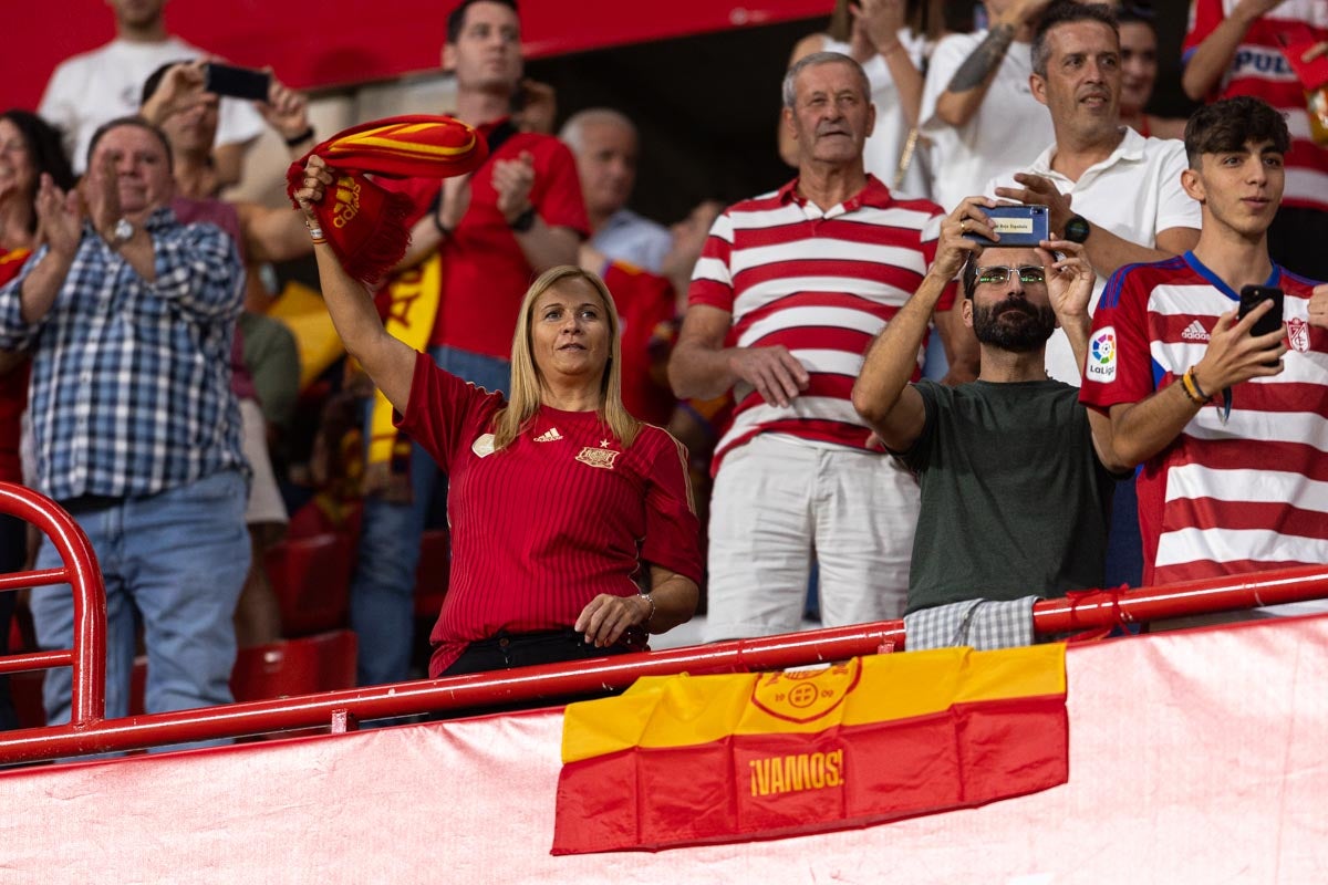 Búscate en la grada de Los Cármenes en el partido de &#039;la Roja&#039;