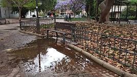 Atención, cambio radical en el tiempo: aviso amarillo por lluvia y tormenta en Almería