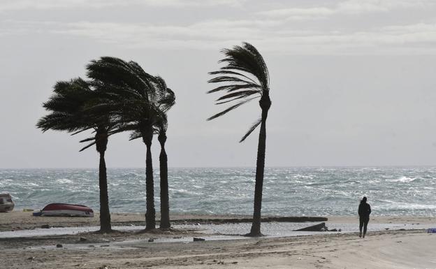 Las fuertes rachas de viento activan la alerta en Almería