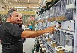 Interés de los asistentes a las aves de reclamo.