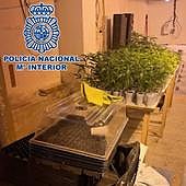 Incautación de droga en Granada.
