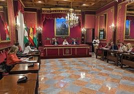 El Ayuntamiento de Granada espera incrementar la recaudación fiscal en cerca de un millón de euros