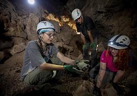 Cueva de Los Murciélagos en Albuñol, Granada.