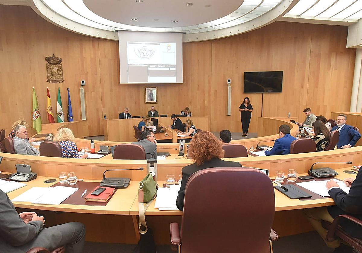Pleno de la Diputación en la sesión de este miércoles.