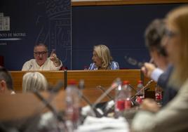 Escámez contesta al concejal de IU y se enzarzan en una discusión.