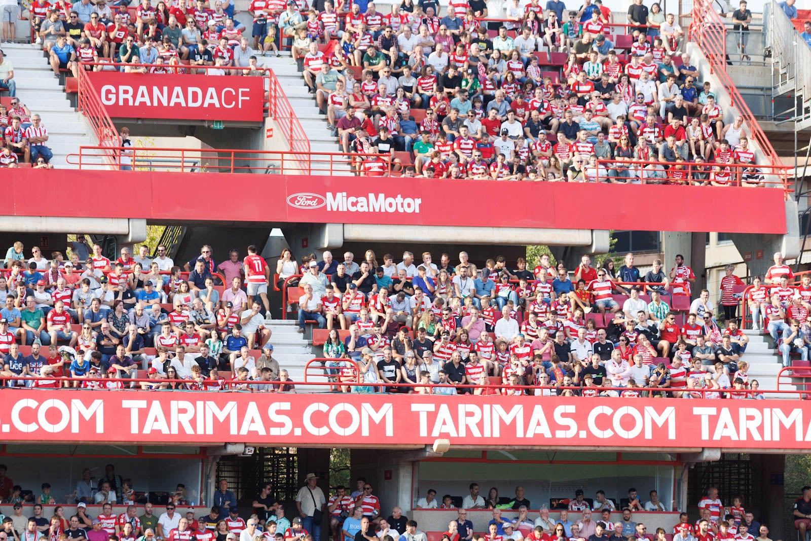 Búscate en la grada de Los Cármenes durante el Granada-Betis