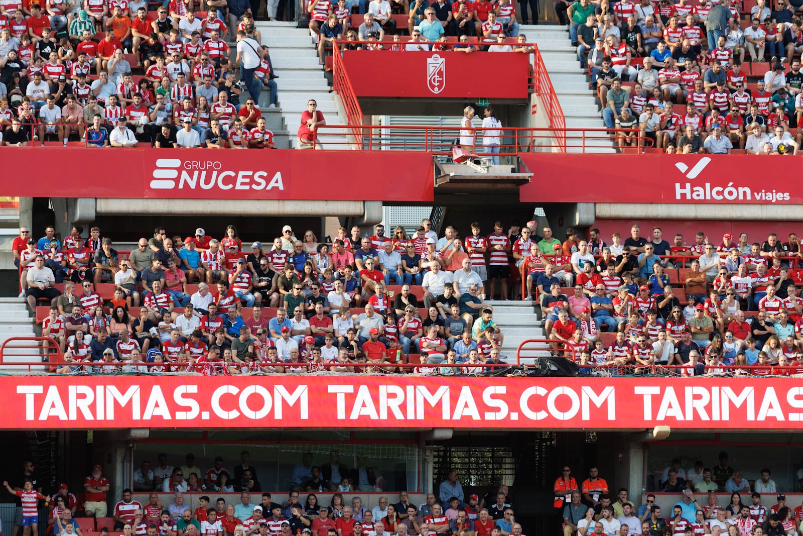 Búscate en la grada de Los Cármenes durante el Granada-Betis
