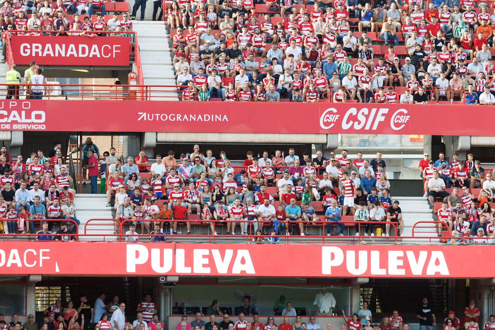 Búscate en la grada de Los Cármenes durante el Granada-Betis