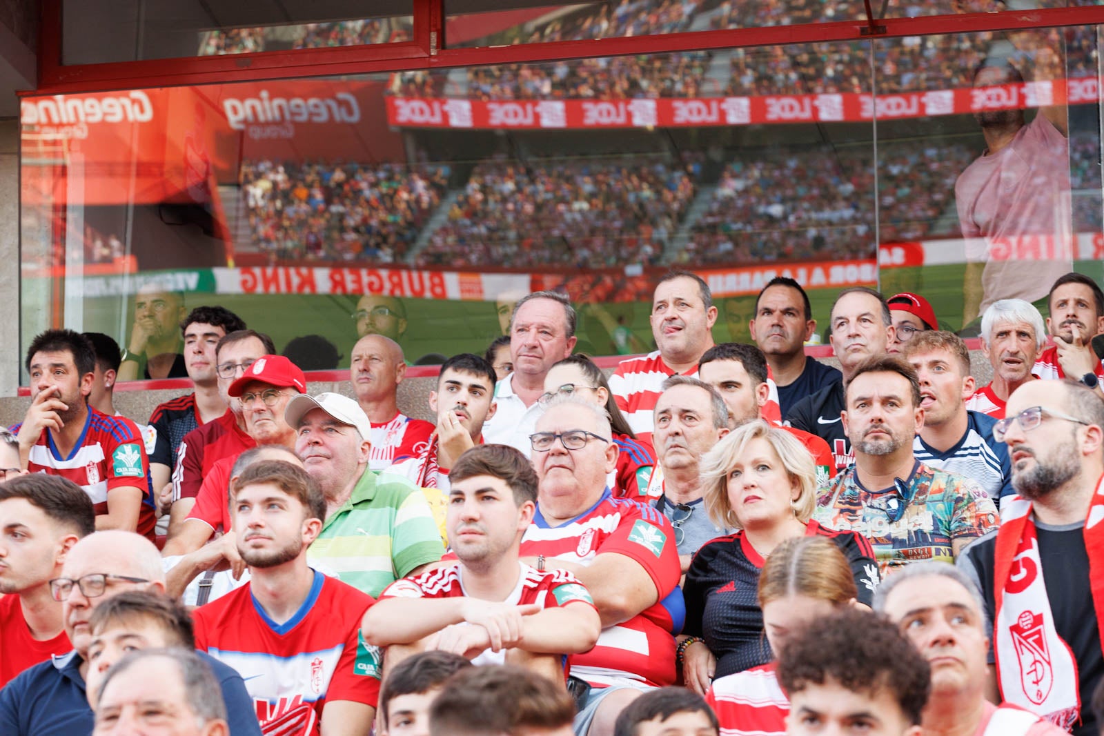 Búscate en la grada de Los Cármenes durante el Granada-Betis