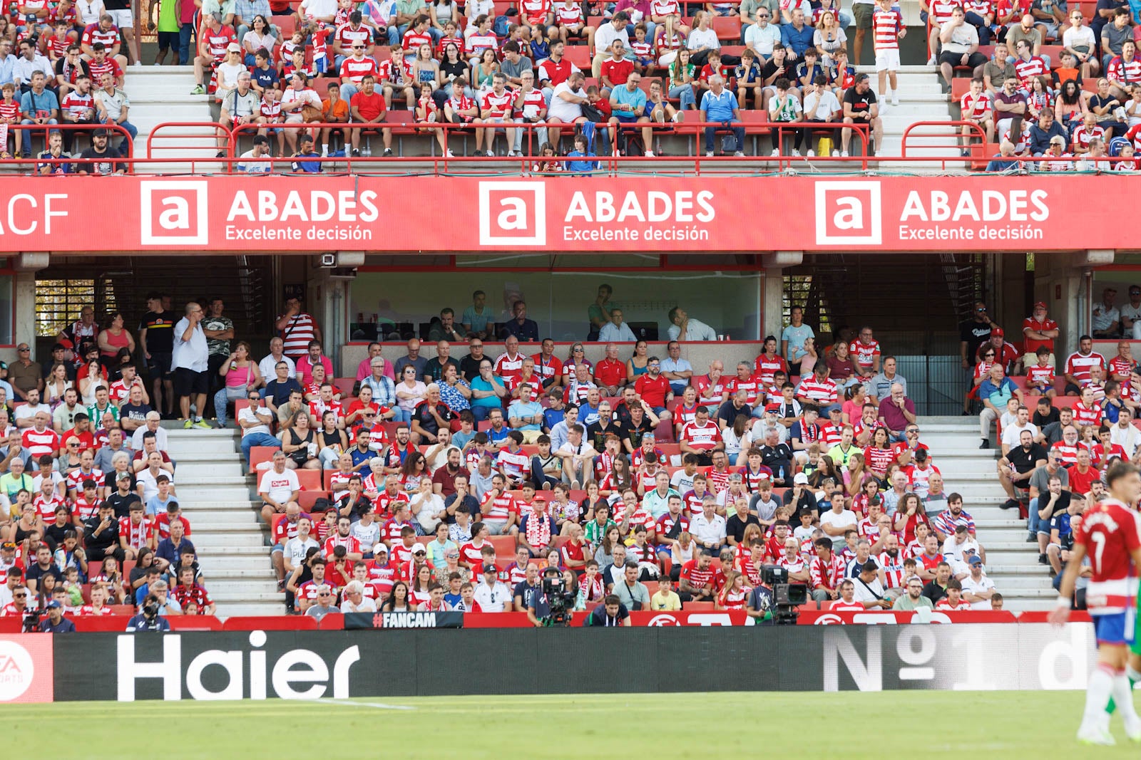 Búscate en la grada de Los Cármenes durante el Granada-Betis