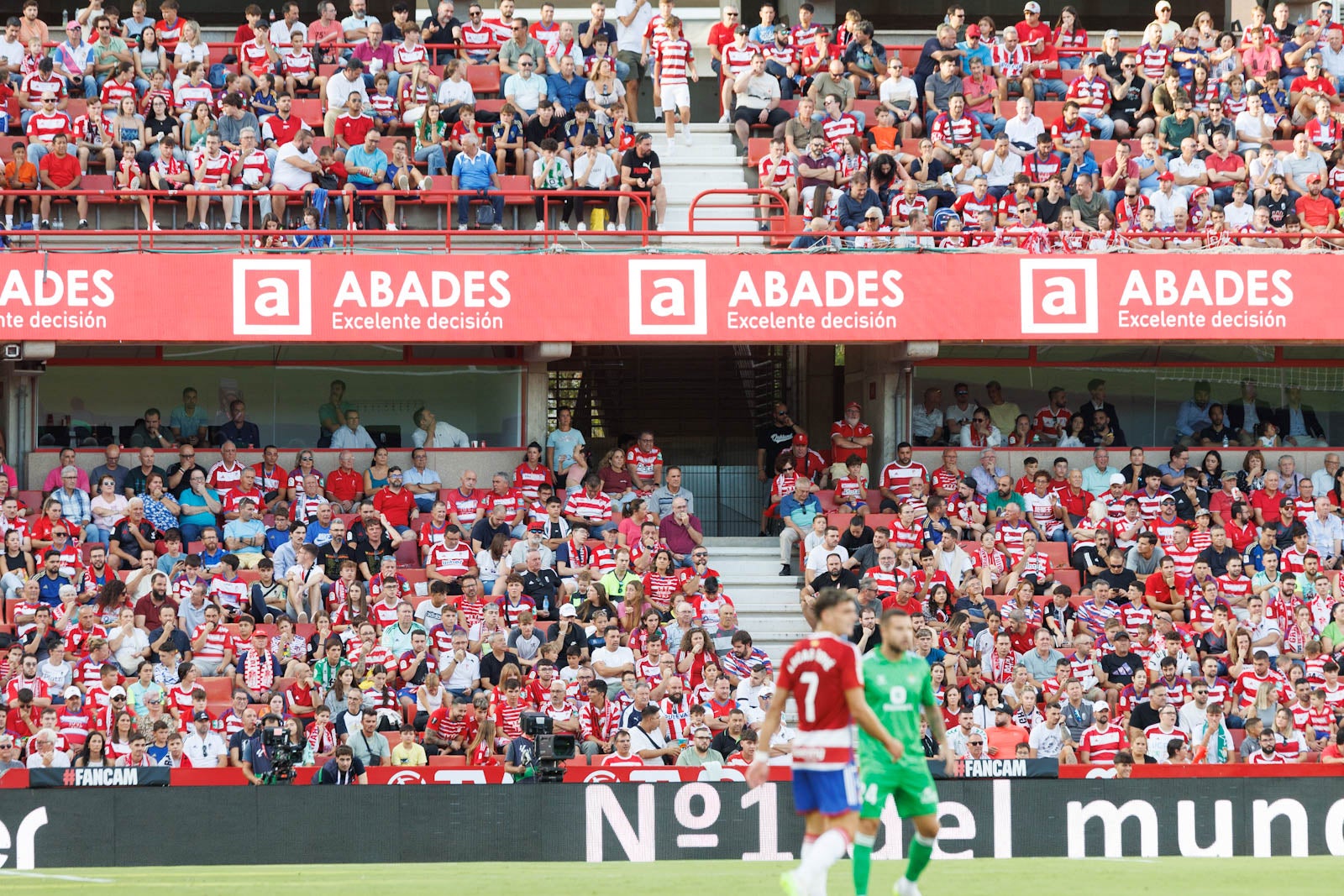 Búscate en la grada de Los Cármenes durante el Granada-Betis