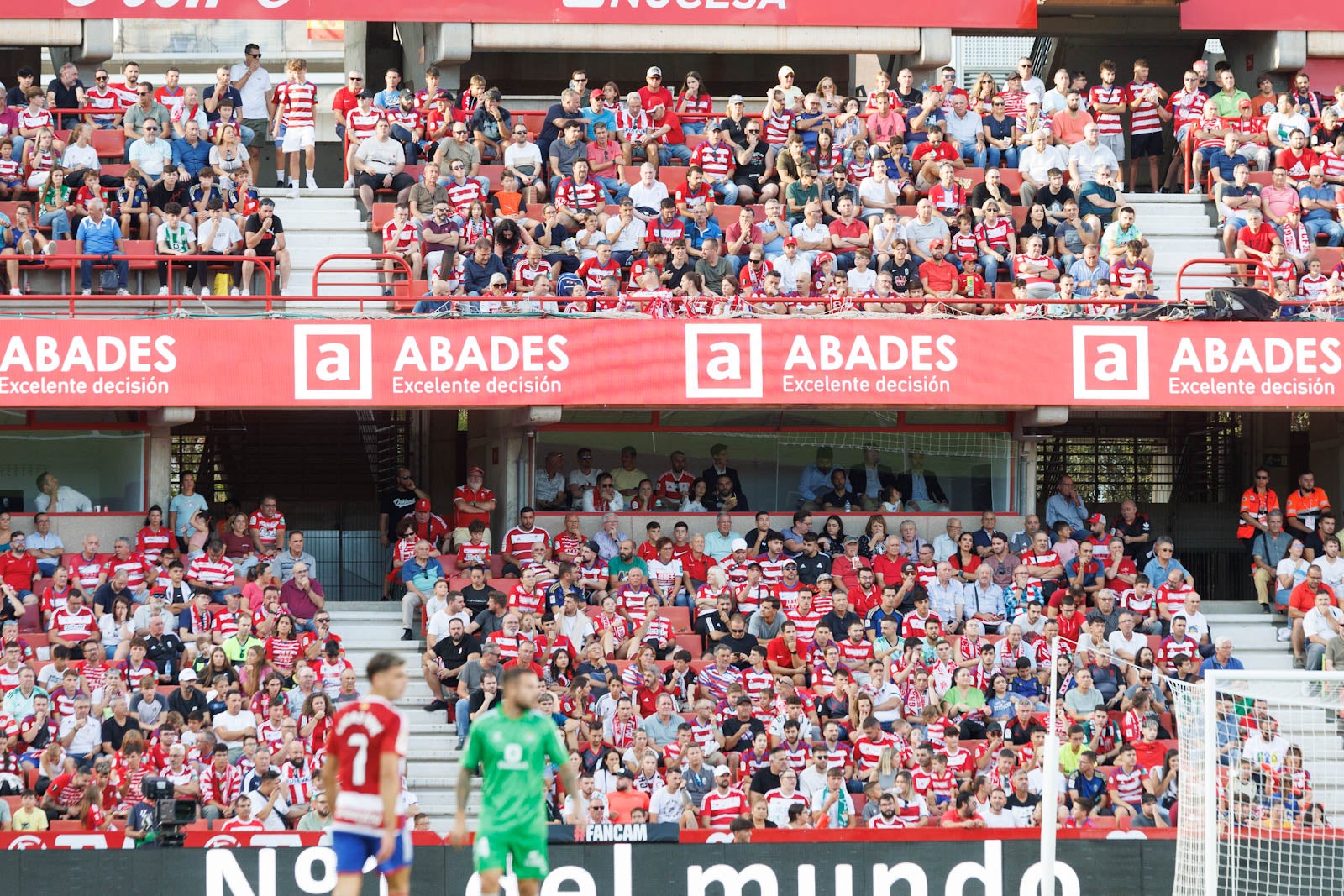 Búscate en la grada de Los Cármenes durante el Granada-Betis