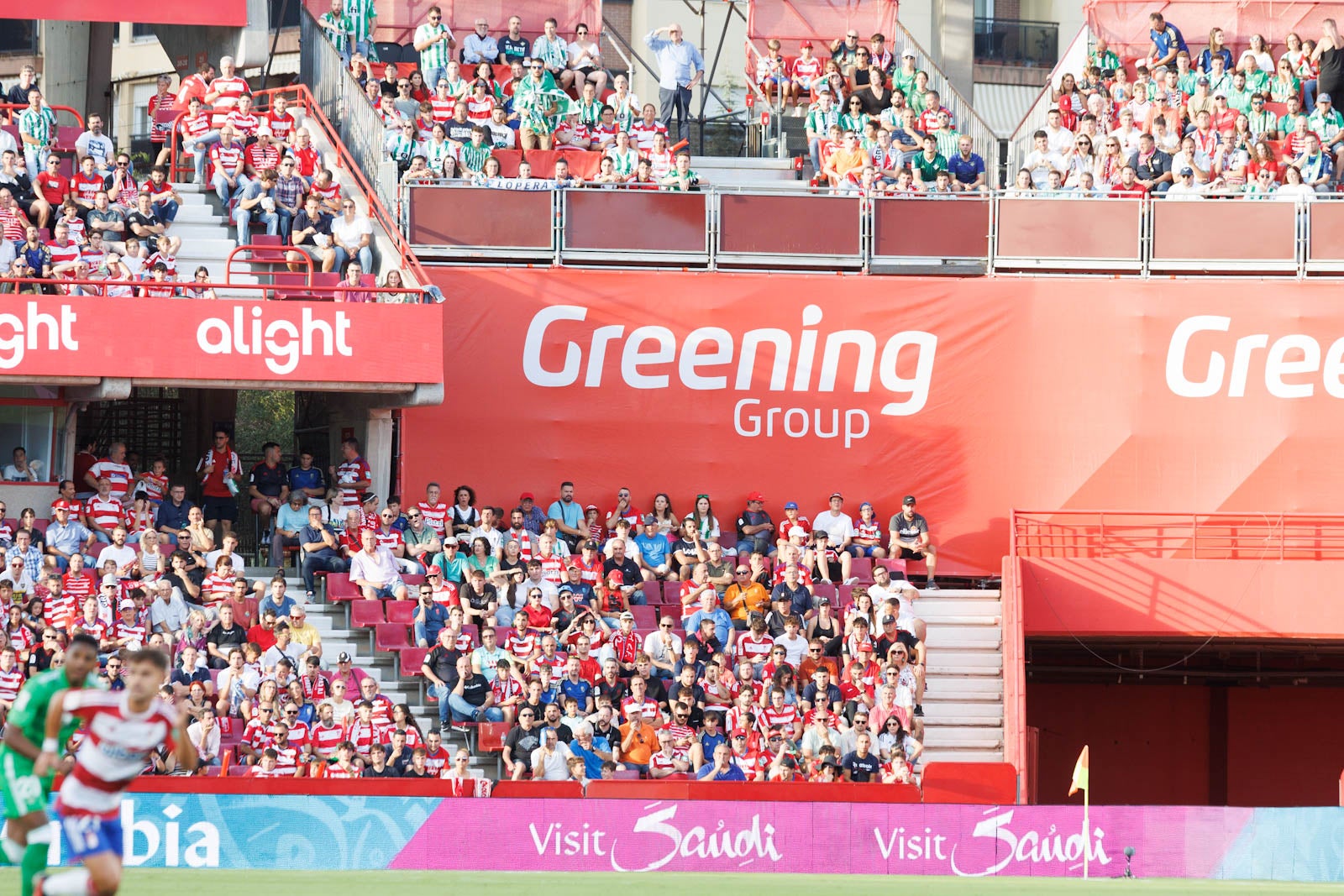 Búscate en la grada de Los Cármenes durante el Granada-Betis