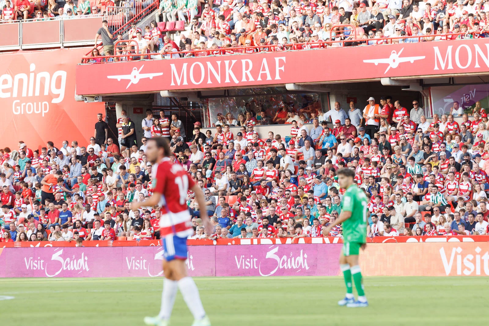 Búscate en la grada de Los Cármenes durante el Granada-Betis