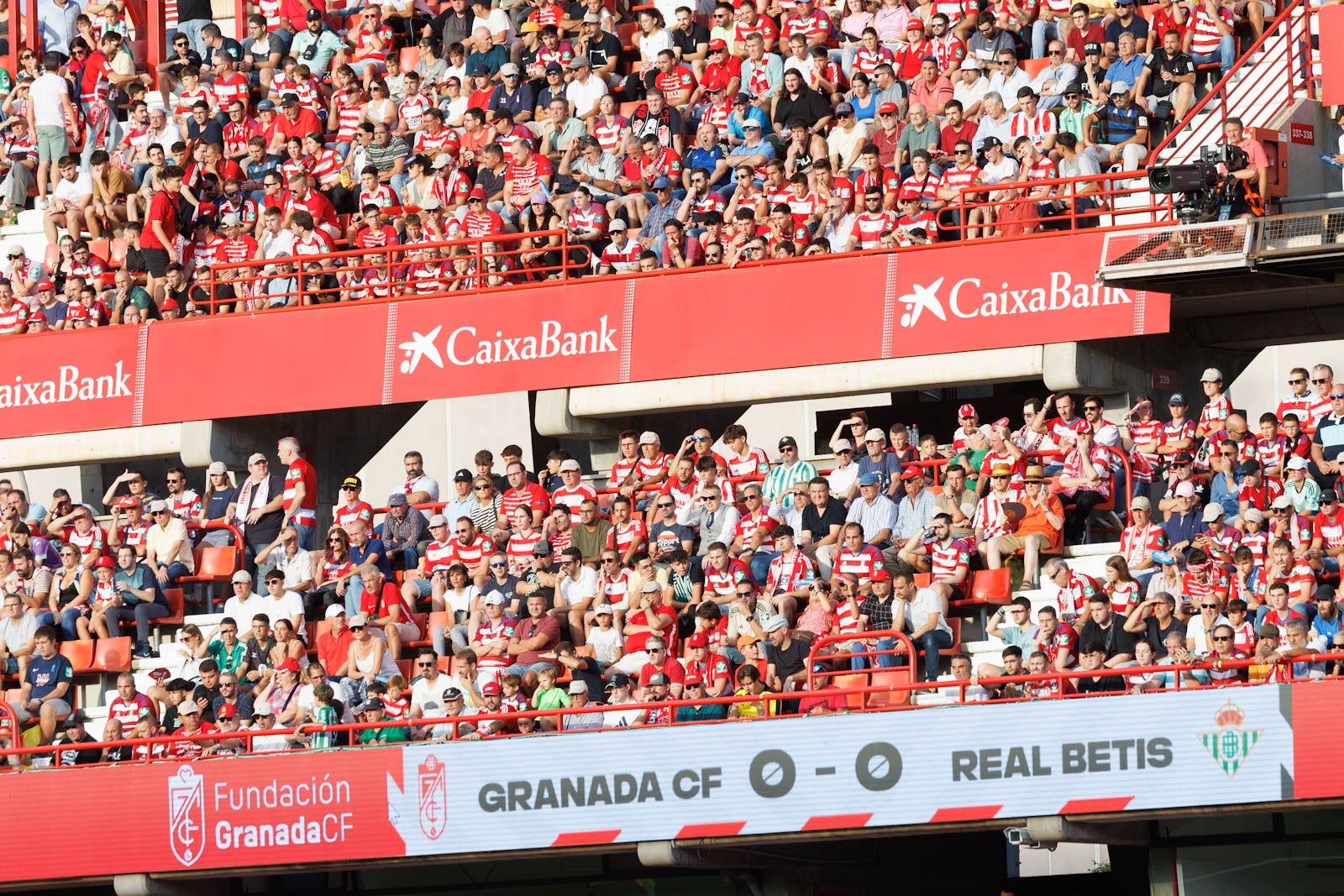 Búscate en la grada de Los Cármenes durante el Granada-Betis